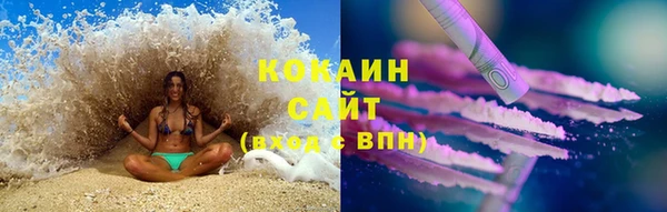 сатива Баксан