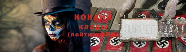 сатива Баксан