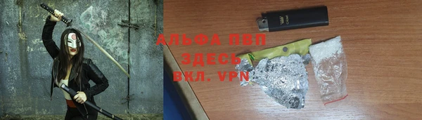 сатива Баксан