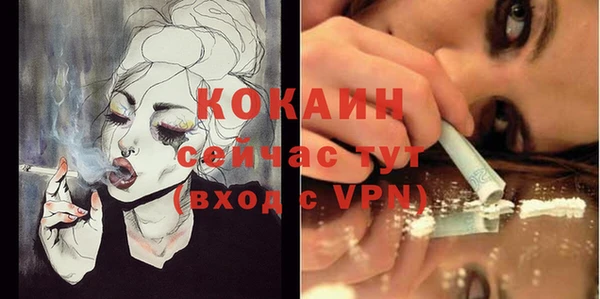 сатива Баксан